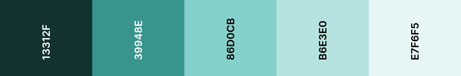 Color swatches from the primary color palette used on the echoes website.